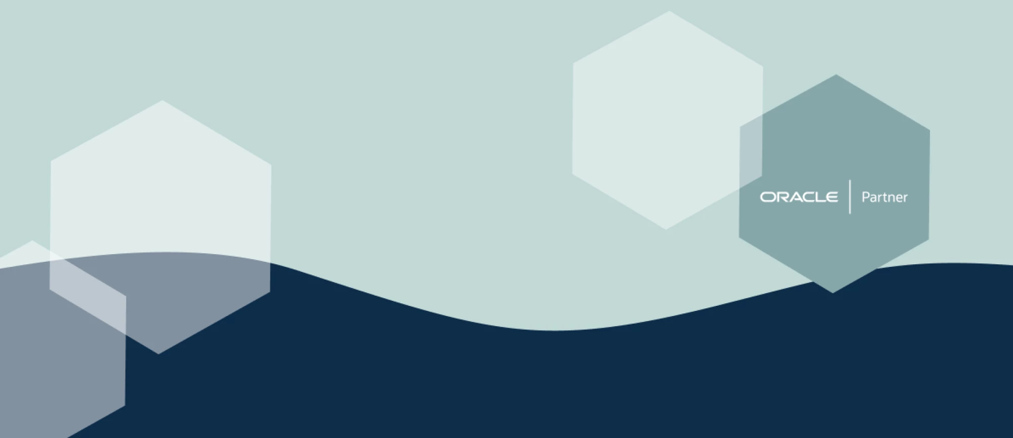 1196x517px-HP Hero-V3